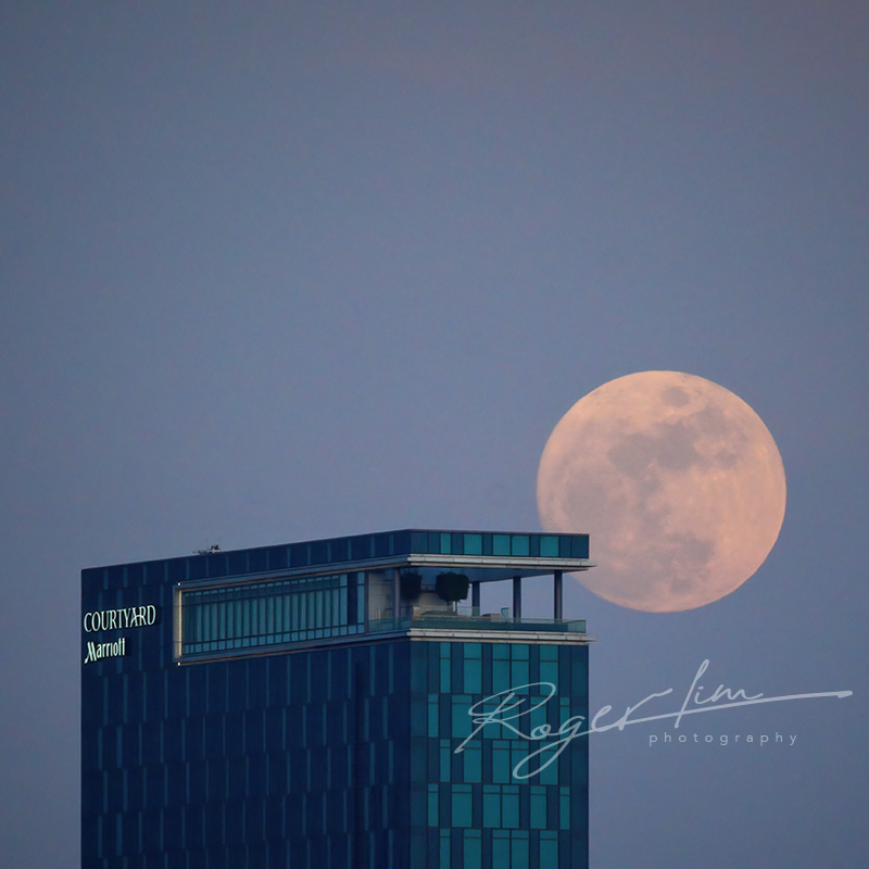 Roger Lim Photography BI3