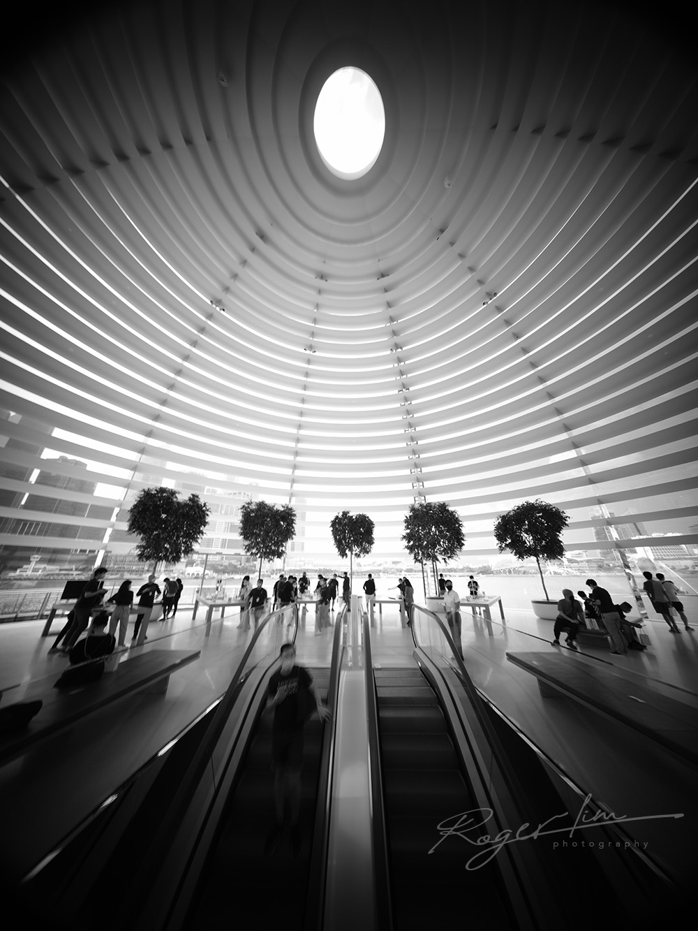 Roger Lim Photography BI5