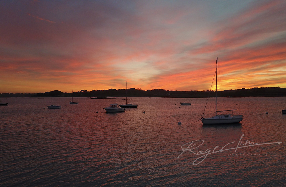 Roger Lim Photography DD3