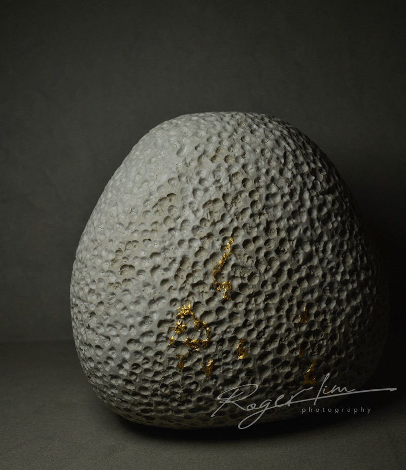 Roger Lim Photography EV7
